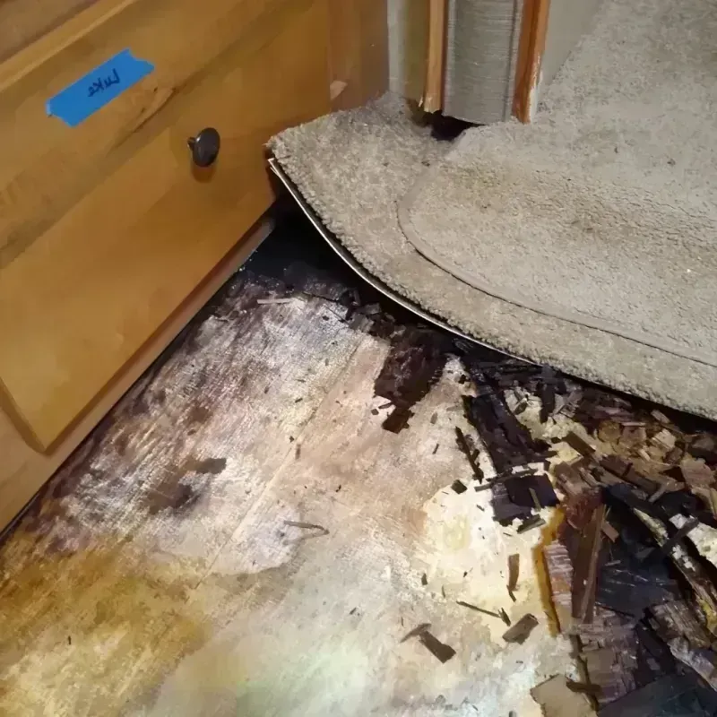 Wood Floor Water Damage in Kearney County, NE